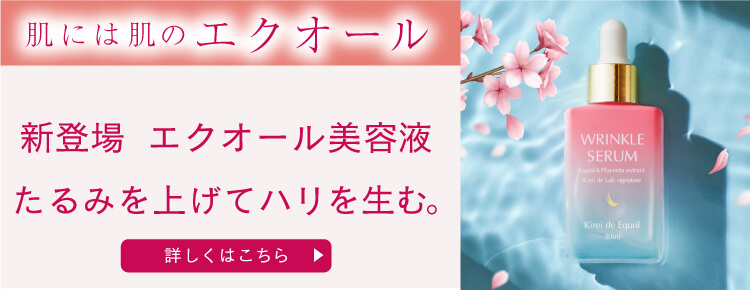 公式】キレイデエクオール（60粒×5袋）イソフラボン 乳酸菌EC-12 乳酸菌 リンゴセラミド エクオール サプリメント 更年期 大豆イソフラボン :  equol-24500 : キレイ・デ・ラボ Yahoo!店 - 通販 - Yahoo!ショッピング