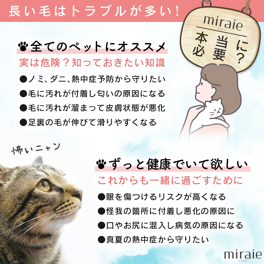 ペット用バリカン 爪切り 猫犬適用 衛生 優しい 水洗い可能 簡単抜け 滑り落ちにくい ABS 爪磨き 静音 研磨 品質保証 手軽に 握りやすい清潔感 愛犬家 おすすめ ペット足裏の毛カット 肉球の間の毛カット人気商品 プレゼント ギフト おしゃれ かわいい 犬用品 猫用品 ニャンちゃん ワンちゃん 長毛種 短毛種 ペットケア用品 簡単 便利 清掃簡単 ドッグ 安定性UP 安全 大型犬 中型犬 小型犬