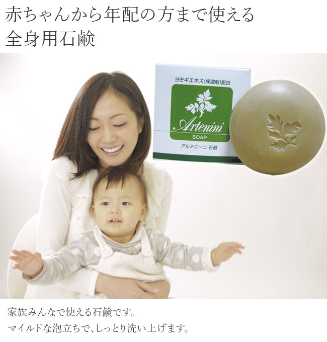 難破船 借りる 朝 よもぎ 石鹸 赤ちゃん グレートオーク 信じられない 国歌