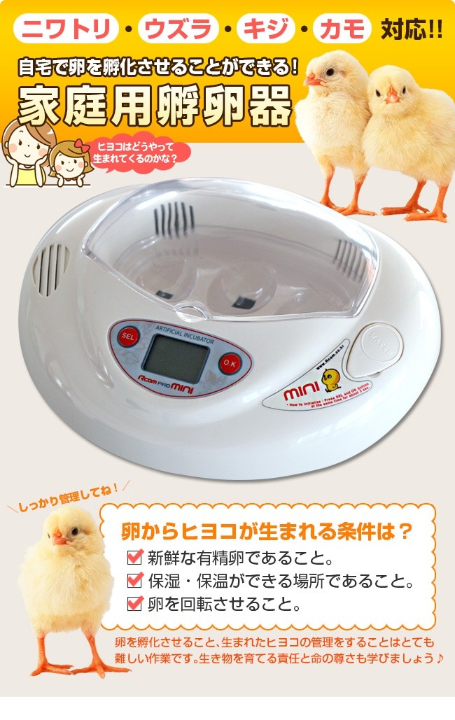 孵卵器 たまぴょミニ RCOM MINI 鳥類専用孵卵器 お手軽モデル(鶏 