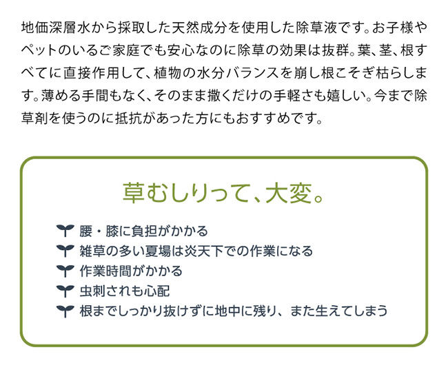 庭師さんのミネラル除草液《2個セット》(除草剤 日本製 除草液 天然成分 ペット 環境 安全 農薬不使用 除草 液体 散布 草) 即納  :NI336-2:キレイスポット - 通販 - Yahoo!ショッピング