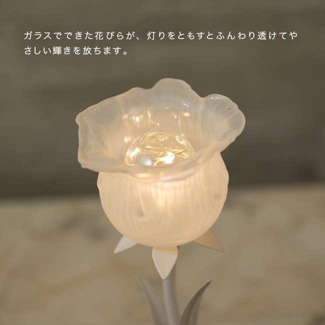pu921_13.jpg