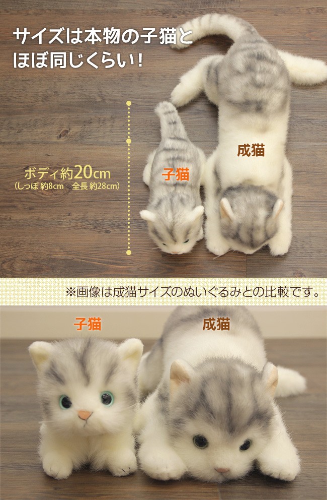 日本製リアル 猫のぬいぐるみ 子猫20cm(リアルな猫のぬいぐるみ/プレゼント/人気/ネコ/かわいい/癒し猫/リアル猫人形/座り/立ち)【ギフト対応無料】  即納 :RI228:キレイスポット - 通販 - Yahoo!ショッピング