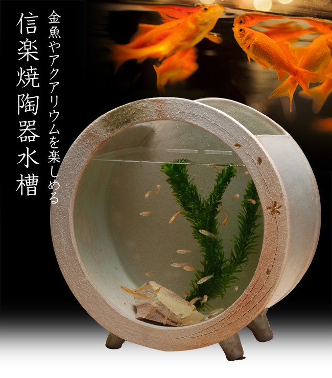 信楽焼 陶水槽 白金彩丸水槽(大) 541-02(金魚鉢/アクアリウム/陶器