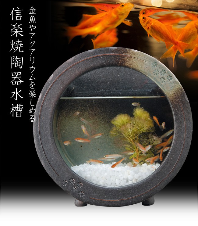 信楽焼 陶水槽 黒釉丸水槽(小) 541-03(金魚鉢/アクアリウム/陶器/和風