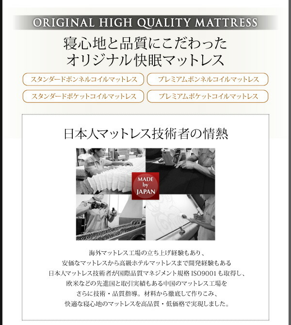 組立設置付〕スリム棚・4口コンセント付収納ベッド 〔ダブリン