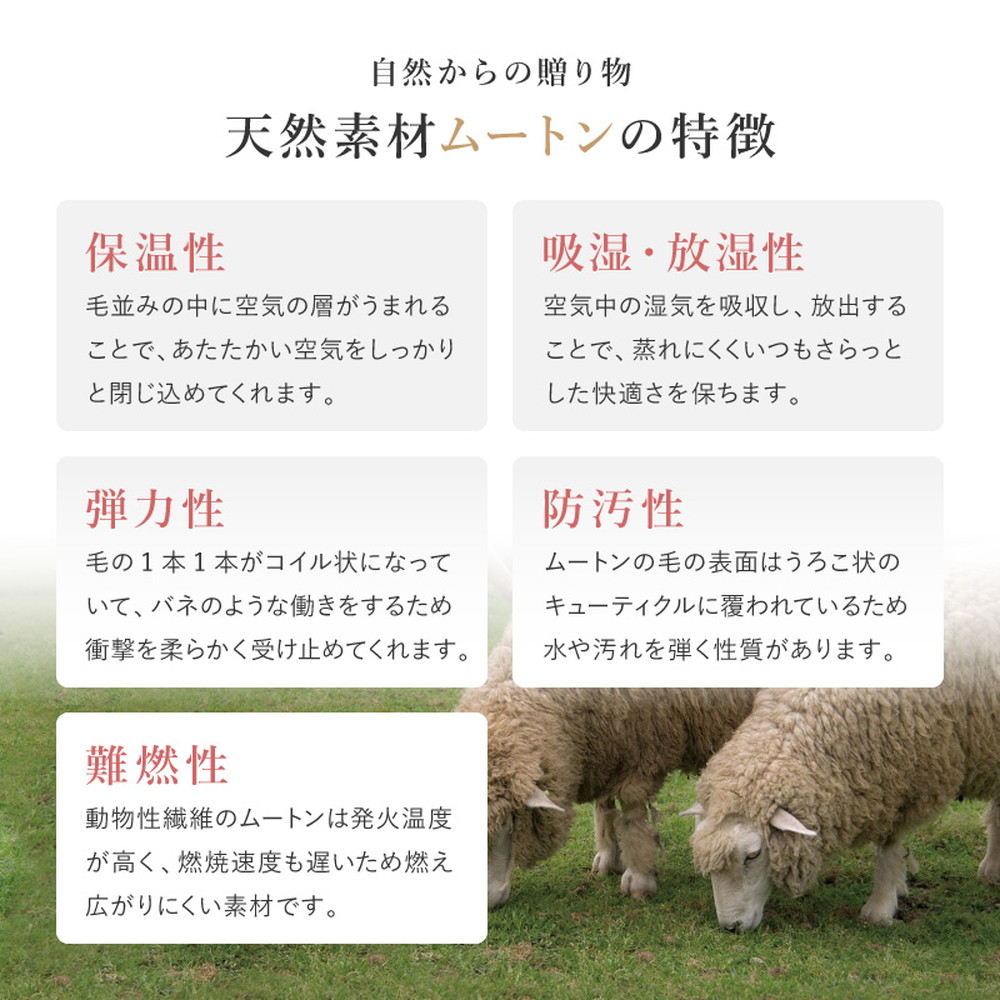 HAGiHARA（萩原） 爆買クッション イス用クッション チェアマット