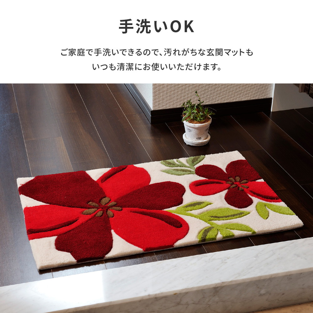HAGiHARA（萩原） 玄関マット マット 北欧 Aberl 50×80cm 厚手 花柄