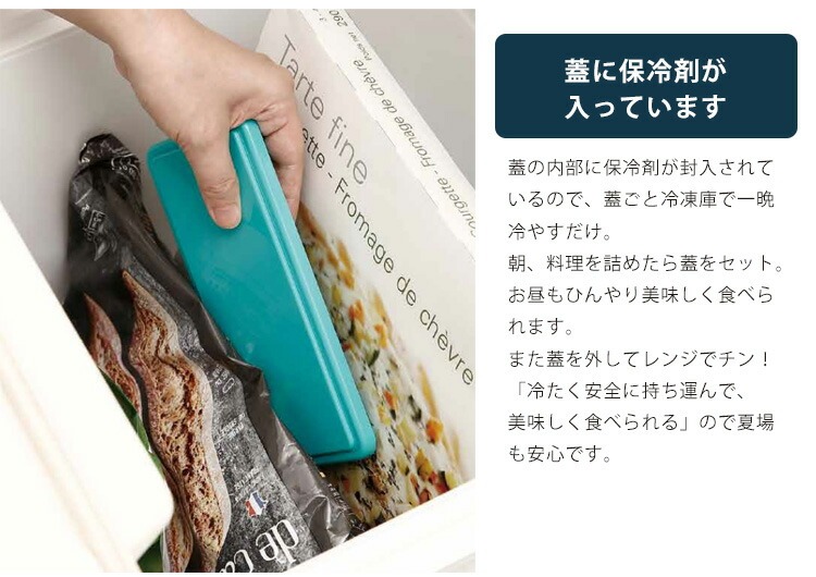 ひんやり ランチボックス お弁当箱 GEL-COOL dome Sサイズ ジェル