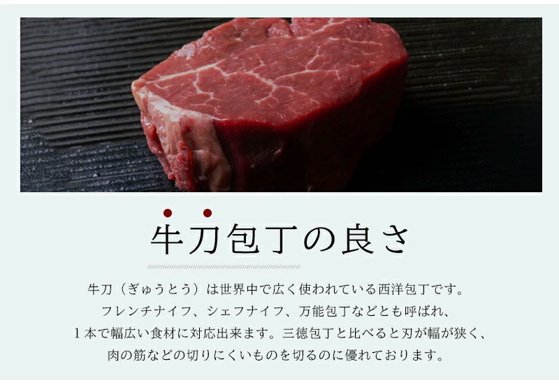 包丁 関の刃物 隆久 牛刀包丁 日本鋼 ハガネ 鋼 刃渡り 180mm 黒合板