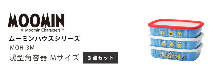 未使用　廃盤品　ムーミン×富士ホーロー 保存容器3点セット 富士ホーロー 公認商品 ムーミン 保存容器 浅型角容器 Mサイズ 3点