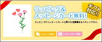 ラッピング無料