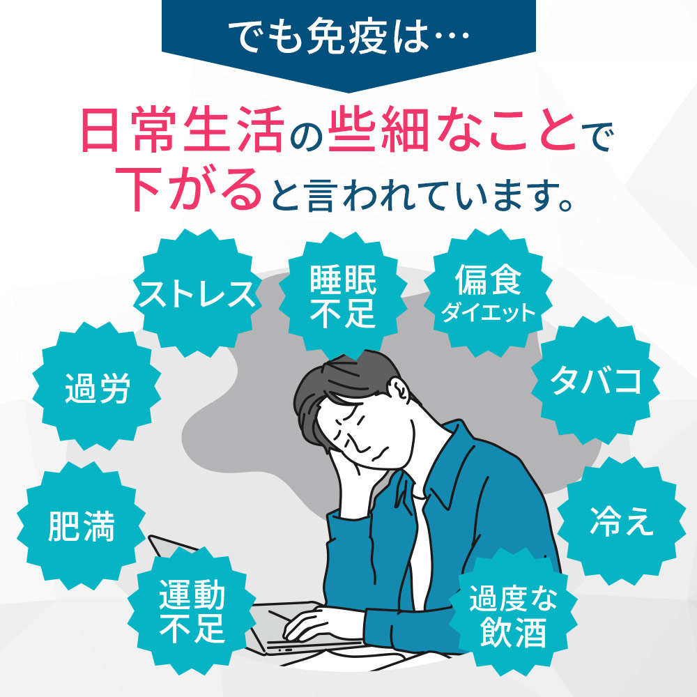 プラズマ乳酸菌 サプリ イミューズ(iMUSE...の詳細画像4