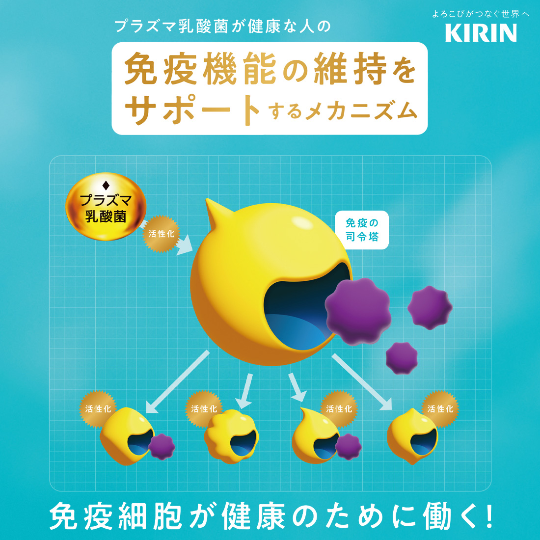 キリン（KIRIN） プラズマ乳酸菌 サプリ イミューズ(iMUSE) 免疫ケア