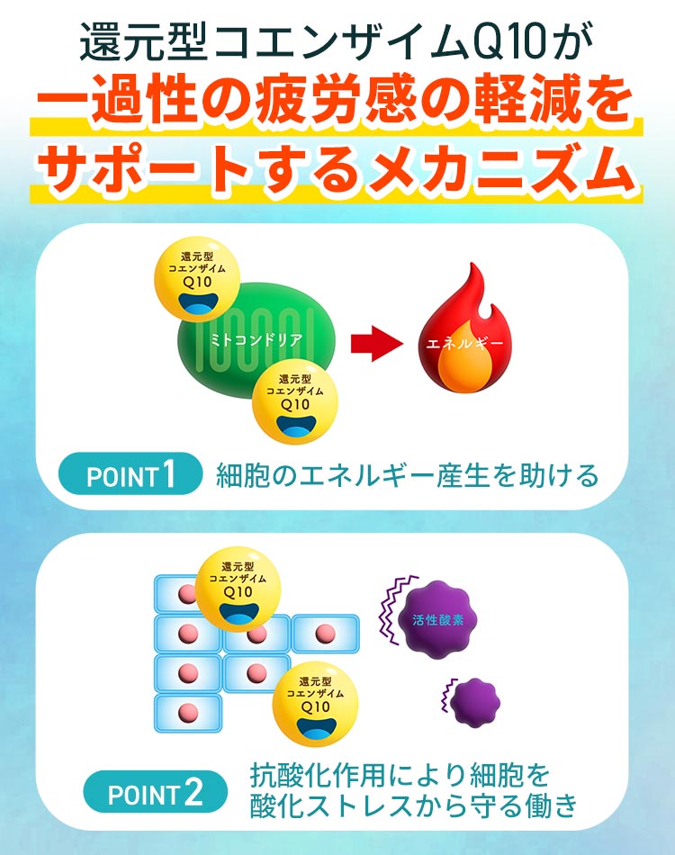 【2/20発売】プラズマ乳酸菌 サプリ イミューズ(iMUSE) 免疫ケア・疲労感ダウン 1袋（15日分） 機能性表示食品 乳酸菌 免疫 キリン サプリメント コエンザイム | キリン | 05