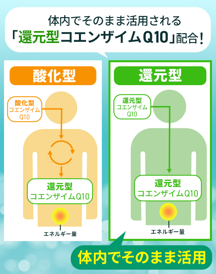 【2/20発売】プラズマ乳酸菌 サプリ イミューズ(iMUSE) 免疫ケア・疲労感ダウン 1袋（15日分） 機能性表示食品 乳酸菌 免疫 キリン サプリメント コエンザイム | キリン | 08