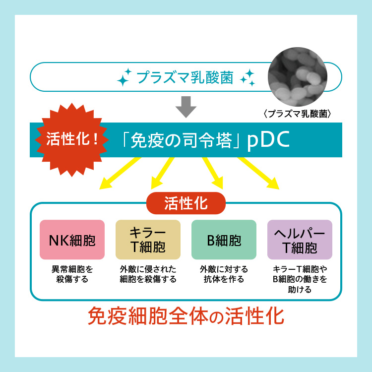 キリン オルニチンPRO 睡眠\u0026免疫ケア 60日分 機能性表示食品 オルニチン オルニチンサプリ 睡眠の質 プラズマ乳酸菌 睡眠 サプリ 送料無料の画像