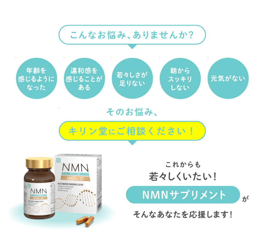 送料無料 6個セット 健美舎 NMN+(PULS) GOLD 60粒×6個【軽減税率対象 