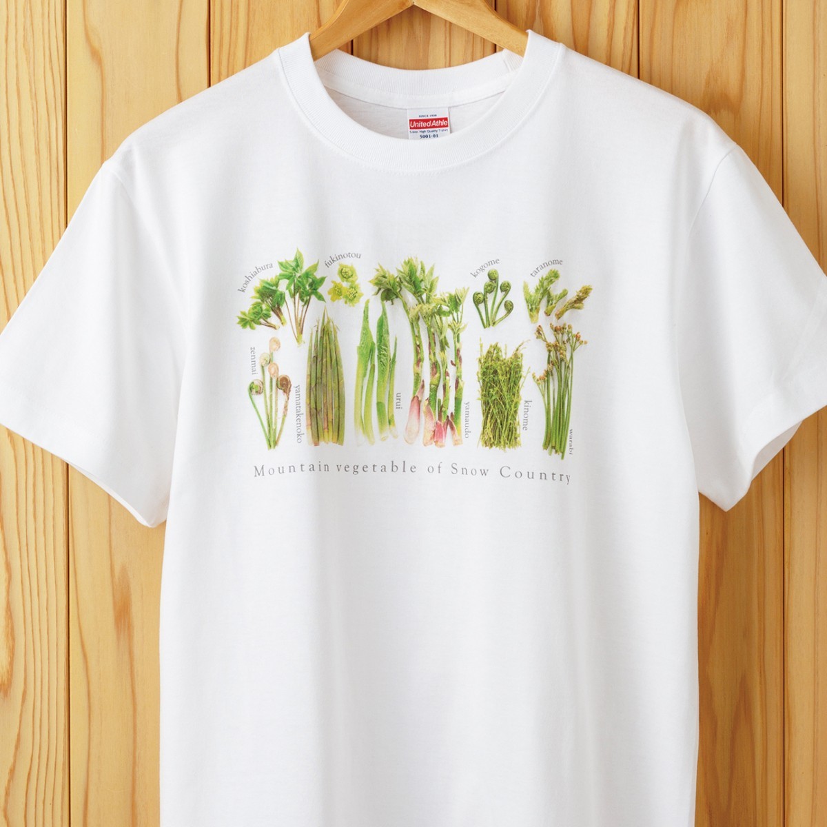 Tシャツ［綿］