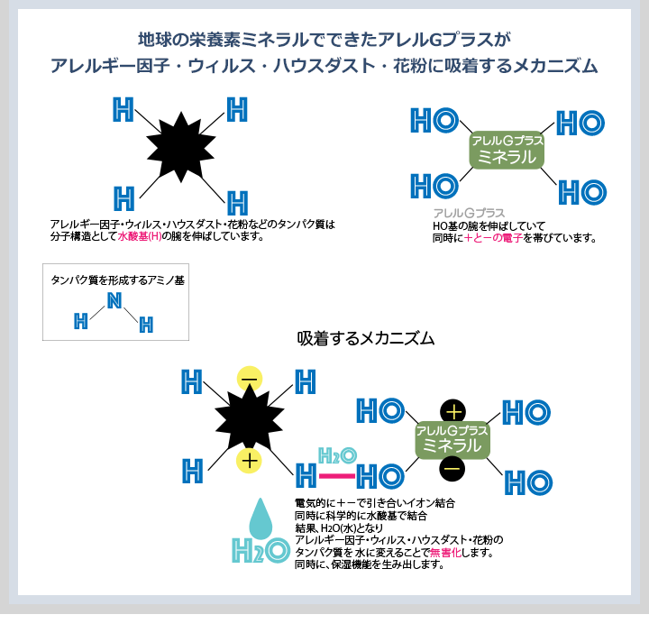 アレルGプラスがアレルギー因子・ウィルス・ハウスダスト・花粉に吸着するメカニズム