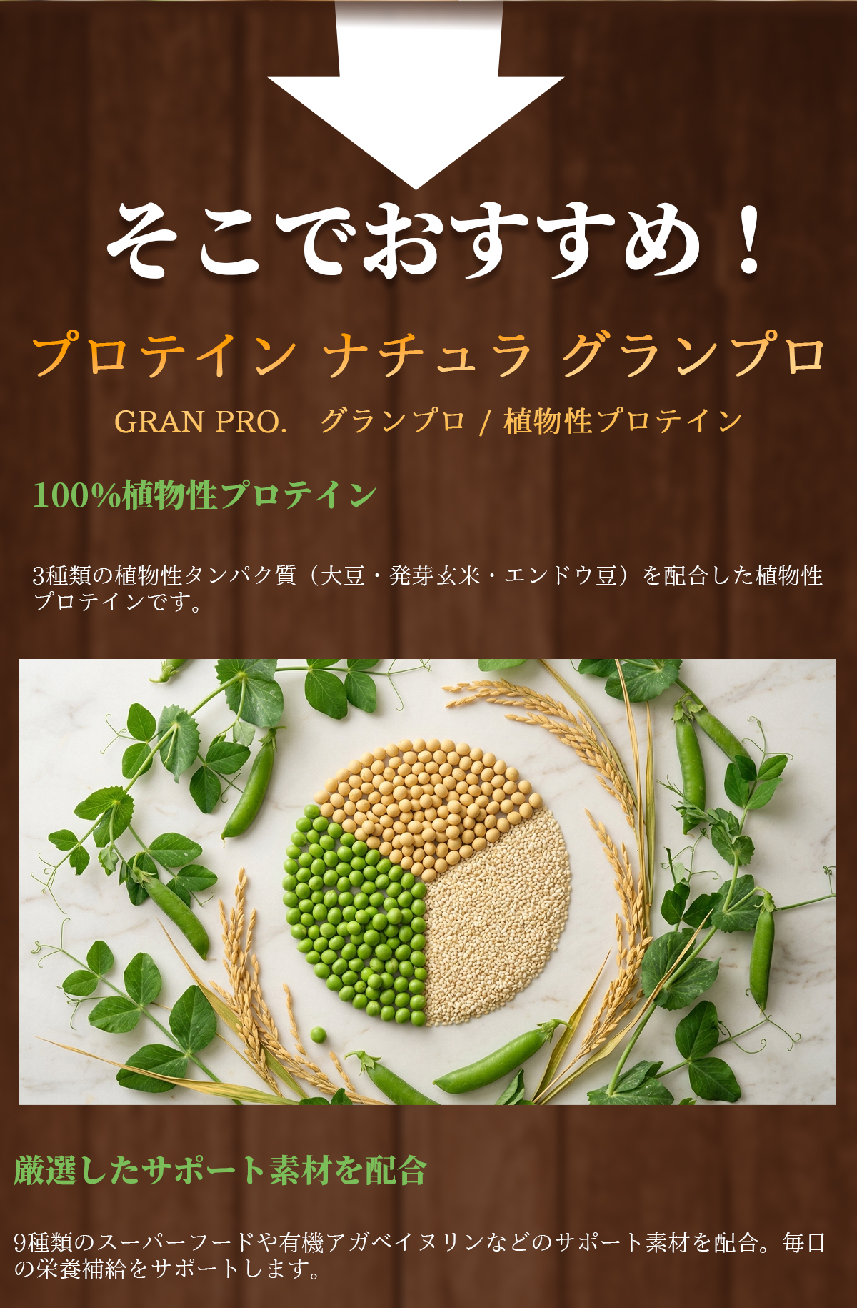 エステプロラボ プロテイン ナチュラ グランプロ ココア 抹茶 オーツ