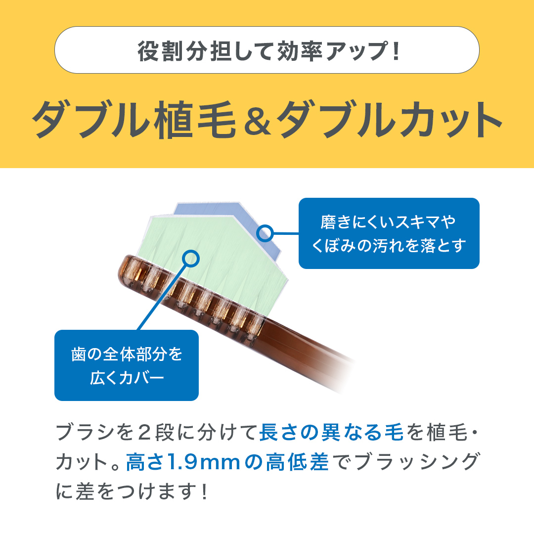 奇跡の歯ブラシ 【公式】奇跡の歯ブラシ スパイラル クリアブラウン 3