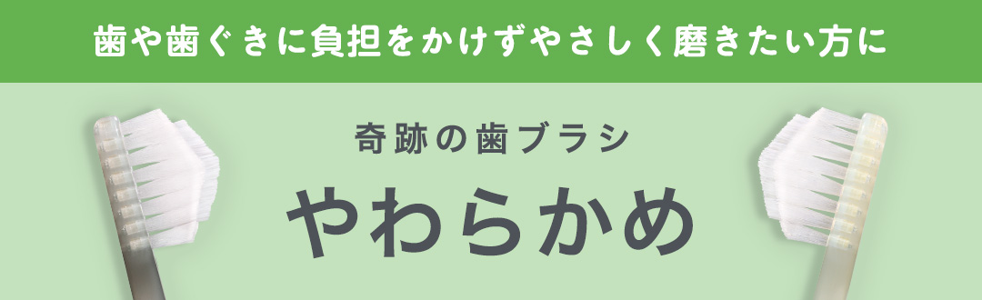 歯ブラシ1000本！日本製 キシリトール+フッ素配合！(フィルムパック) 公式 奇跡の歯ブラシ - Yahoo!ショッピング