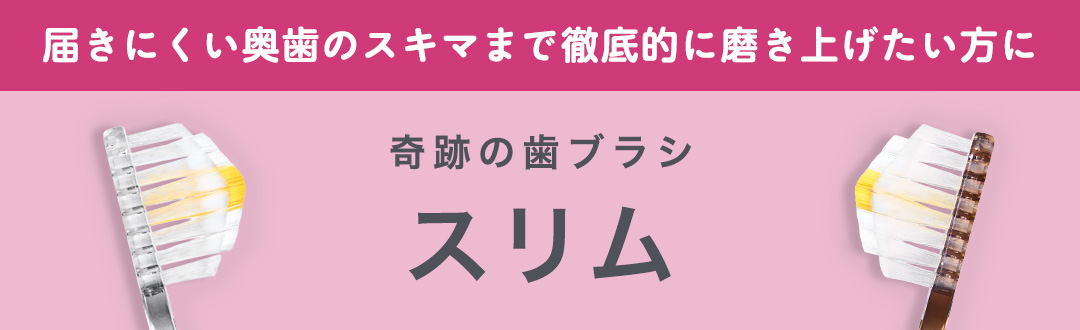 歯ブラシ1000本！日本製 キシリトール+フッ素配合！(フィルムパック) 公式 奇跡の歯ブラシ - Yahoo!ショッピング