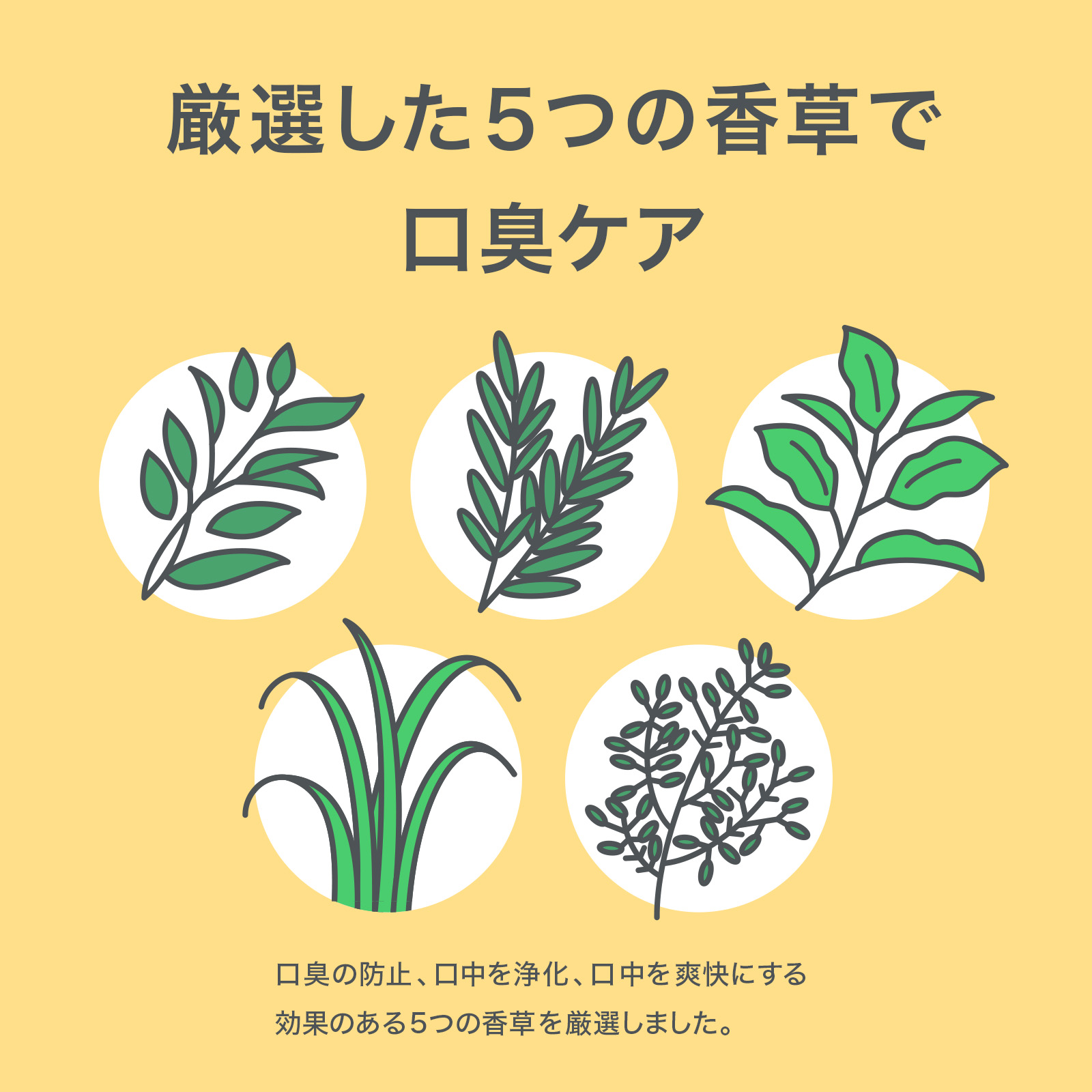 HaRENO 薬用ハミガキ 口臭ケア +PLU...の詳細画像4