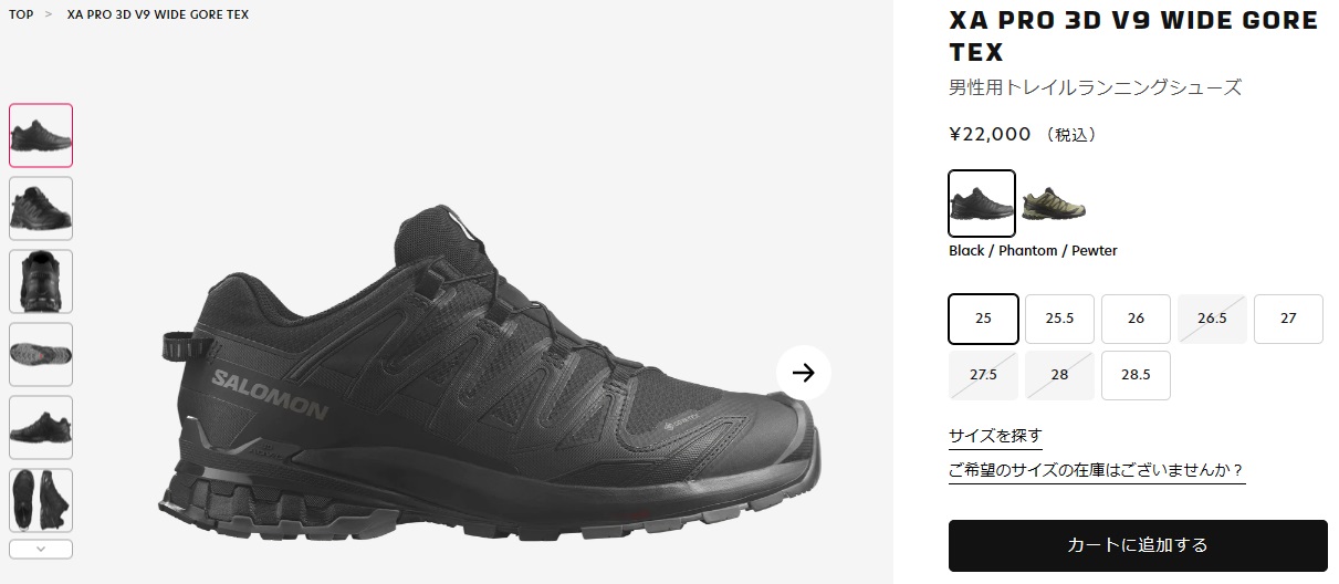 SALOMON ゴアテックス サロモン メンズ トレイルランニング