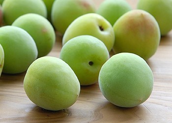 南高梅（青梅）