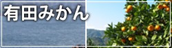 有田みかんスイーツ