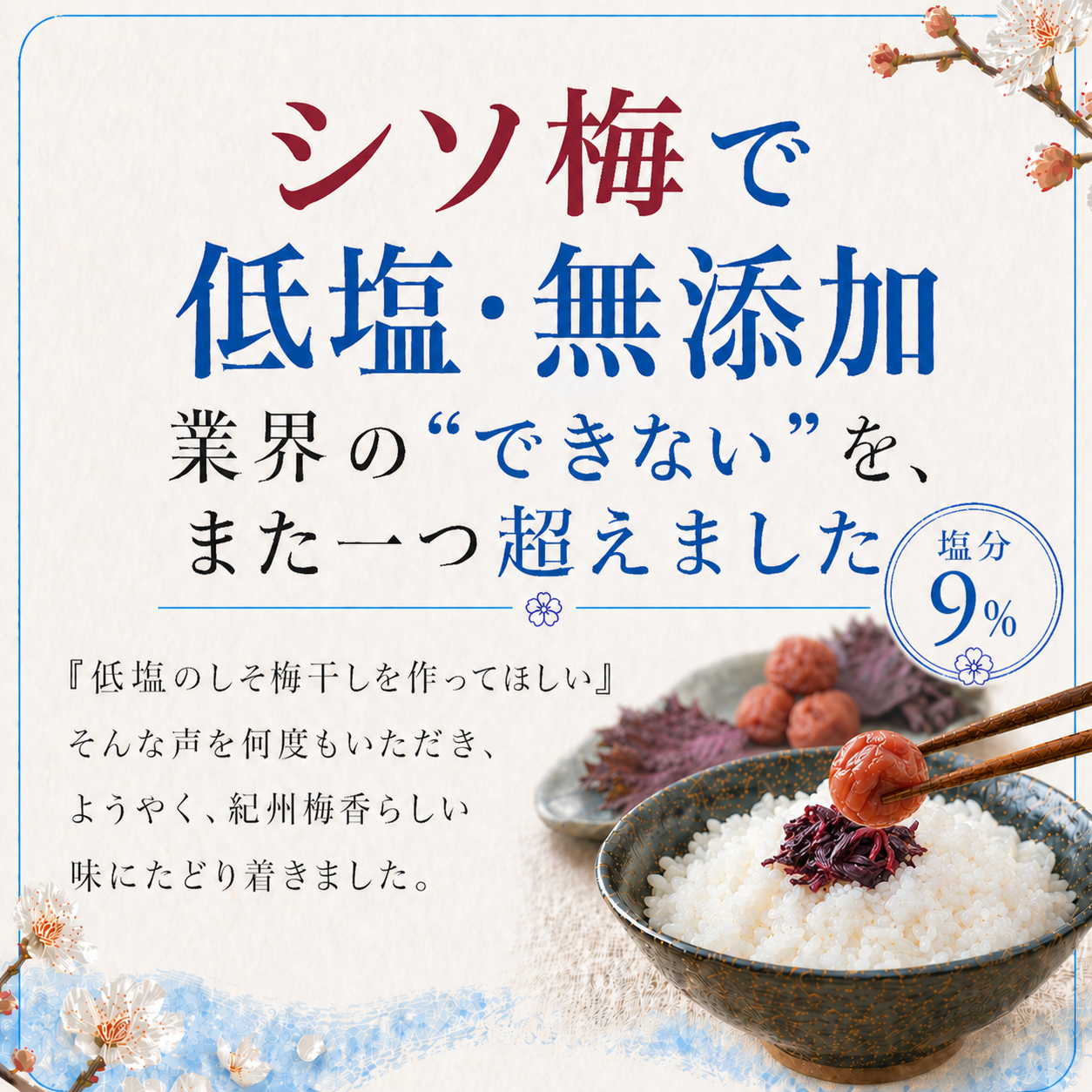 紀州梅香の梅干し