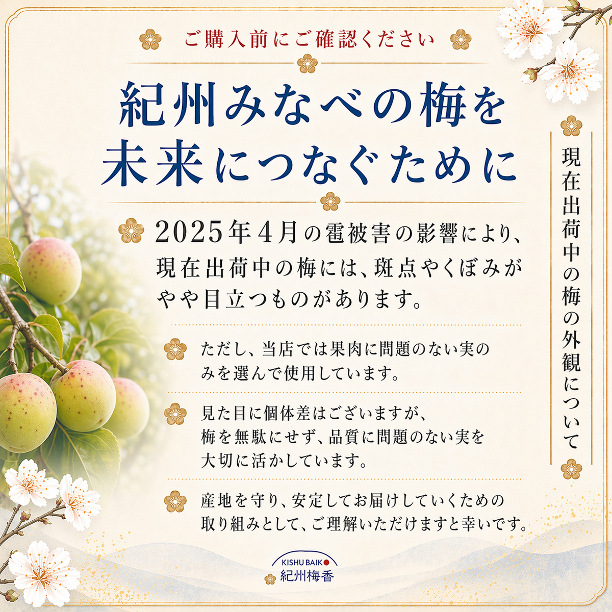 紀州梅香の雹害つぶれ梅