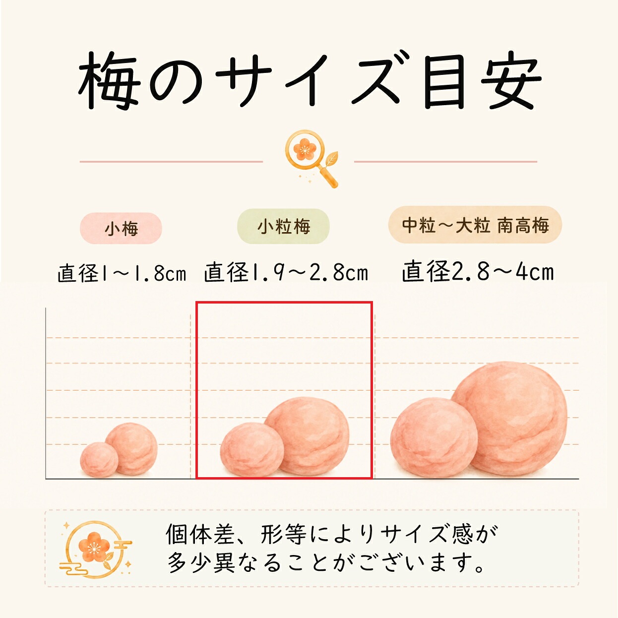 紀州梅香の梅干し