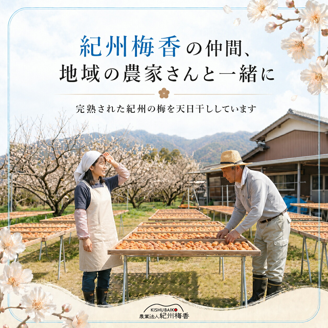 紀州梅香の梅干し