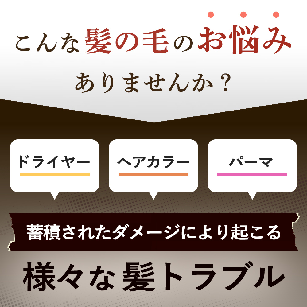 シャンプー トリートメント ２本セット KISO CARE キソ ボタニカルヘアケア ノンシリコン ダメージケア ビオチン キャピキシル 無添加 国産 日本製 リニューアル | KISO | 03