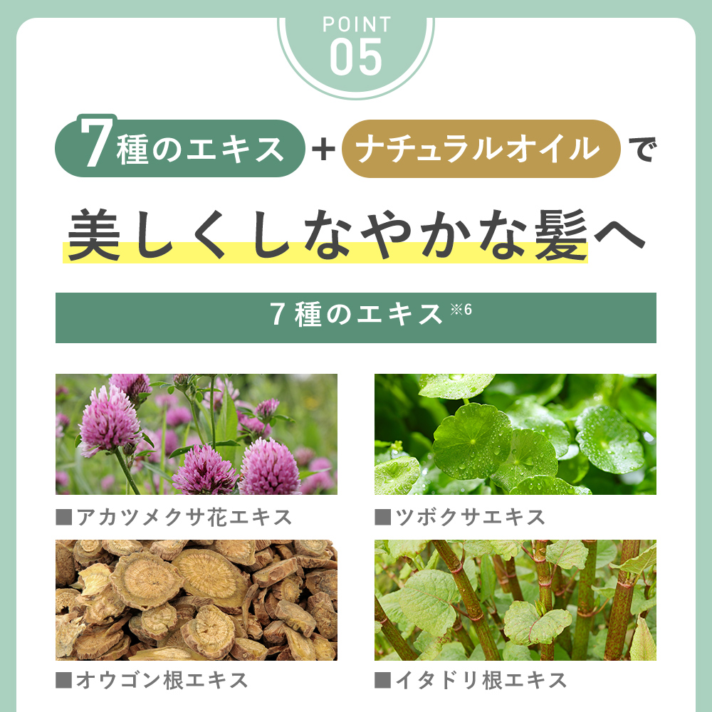 KISO ボタニカルヘアケアシャンプー モイスト 400ml ノンシリコン ダメージケア ビオチン キャピキシル スカルプ 無添加 国産 日本製 リニューアル | KISO | 12