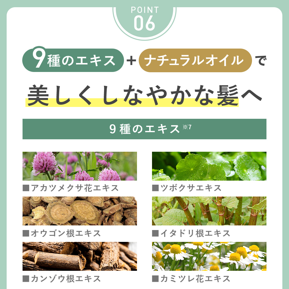 シャンプー トリートメント ２本セット KISO CARE キソ ボタニカルヘアケア ノンシリコン ダメージケア ビオチン キャピキシル 無添加 国産 日本製 リニューアル | KISO | 13