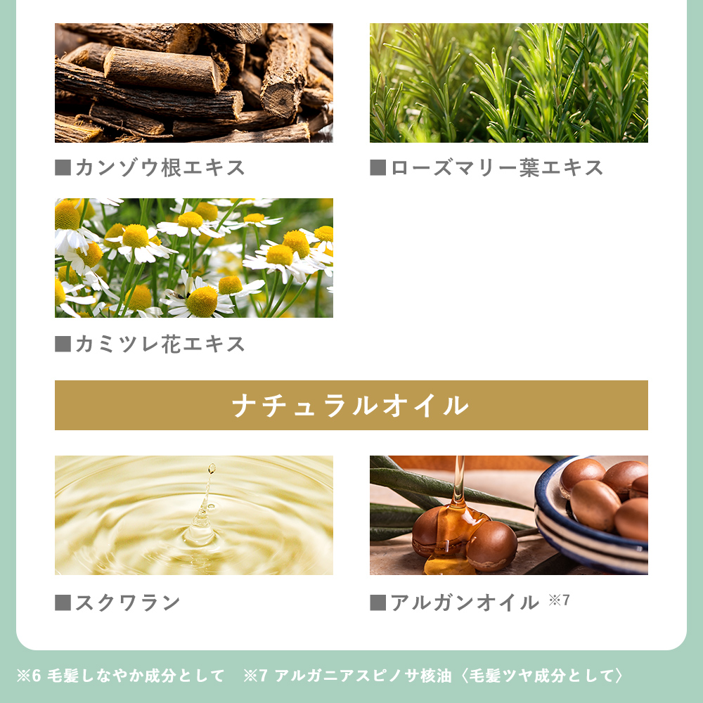 KISO ボタニカルヘアケアシャンプー モイスト 400ml ノンシリコン ダメージケア ビオチン キャピキシル スカルプ 無添加 国産 日本製 リニューアル | KISO | 13