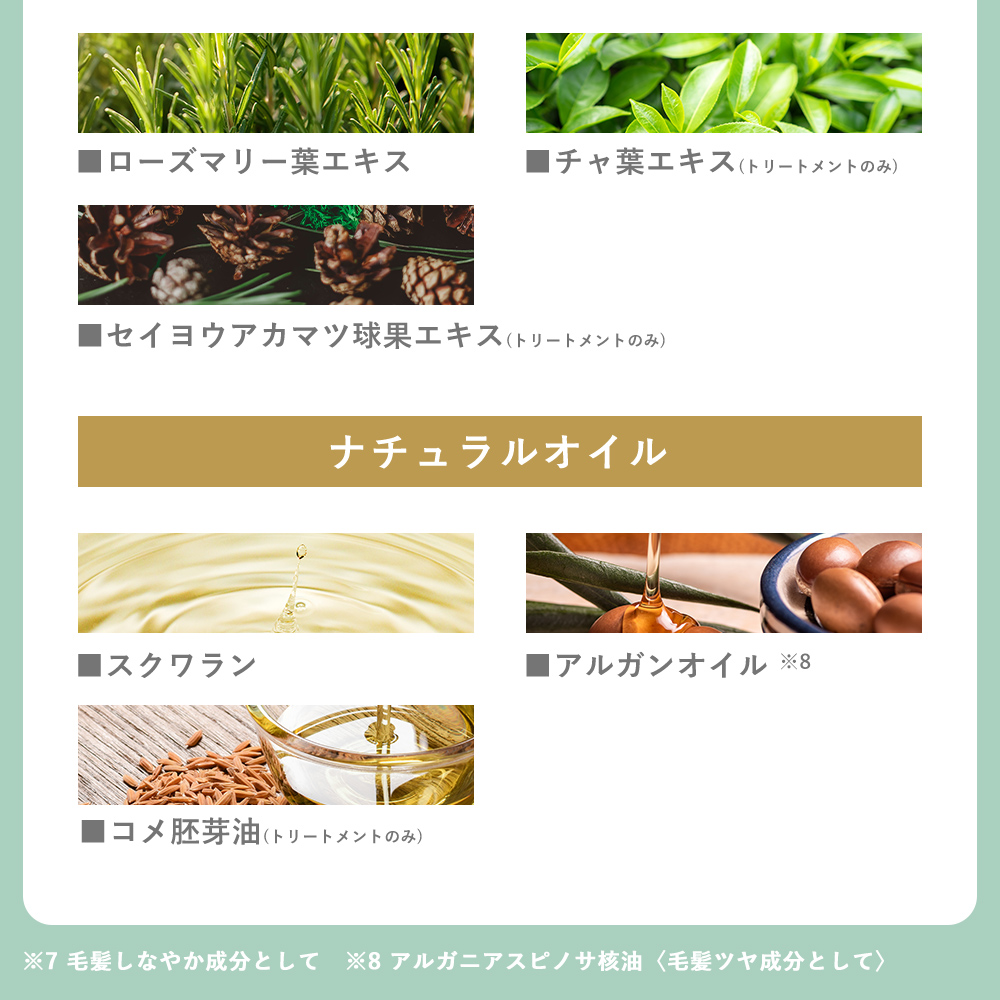 シャンプー トリートメント ２本セット KISO CARE キソ ボタニカルヘアケア ノンシリコン ダメージケア ビオチン キャピキシル 無添加 国産 日本製 リニューアル | KISO | 14