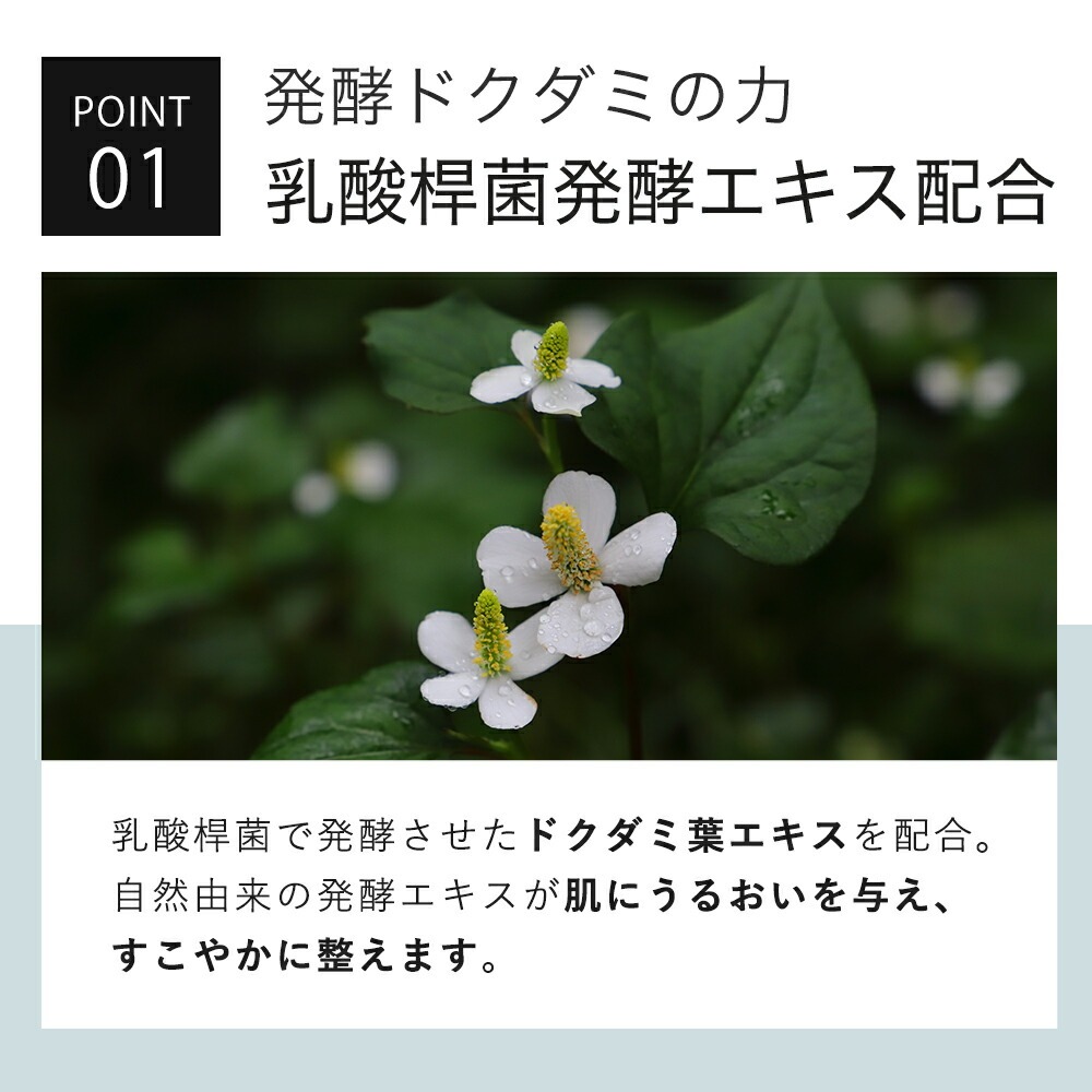 化粧水 ドクダミ 発酵エキス 77% アゼライン酸 5% 配合 KISO キソ バランシングローションAZ5 CICA パンテノール グリチルリチン酸2k ヒアルロン酸 No.072 | KISO | 04