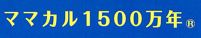 ママカル1500万年