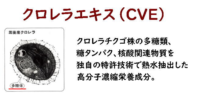 クロレラエキスCVE