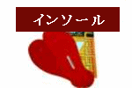ハイテルマーニ（インソール）バイオラバー