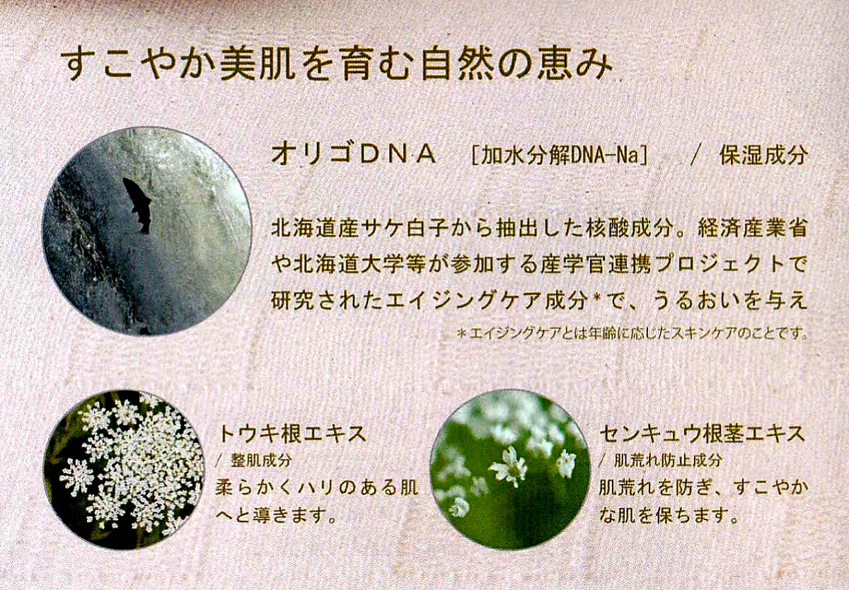 ナチュラルケア NC美容ジェル オリゴDNA 保湿 オールインワン