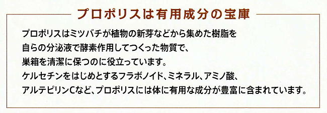 長期熟成プロポリスは有用成分の宝庫
