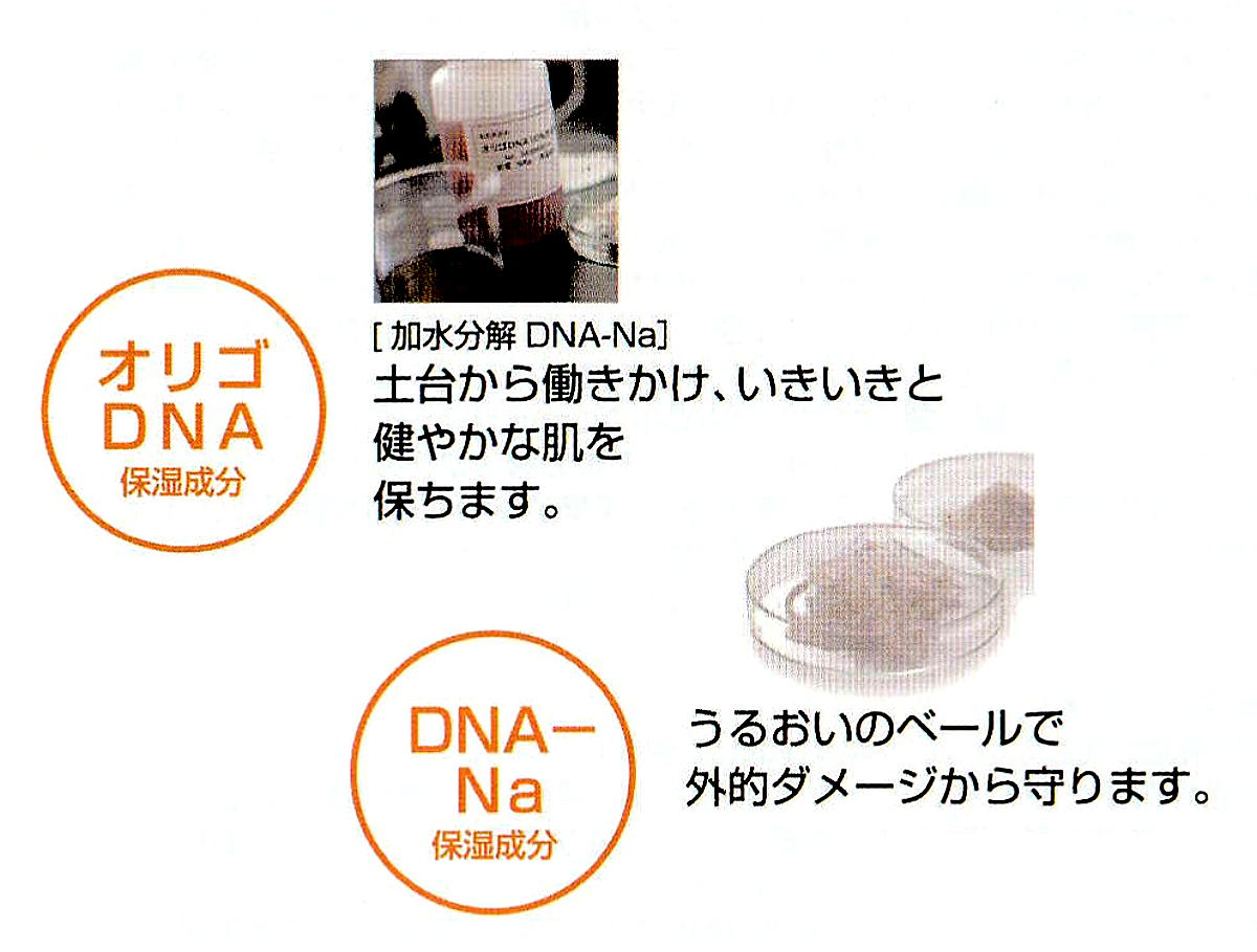 ララクDNAクリーム ナチュラルケア 保湿 RARAK オリゴDNA 北海道サケ