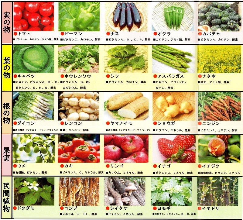 100種類の植物成分