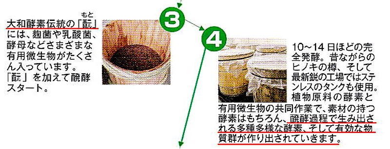 やまと酵素伝統の酵母菌を熟成